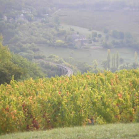 Maison Isolee Dans Les Vignes Et Les Bois Valady Buitenkant foto