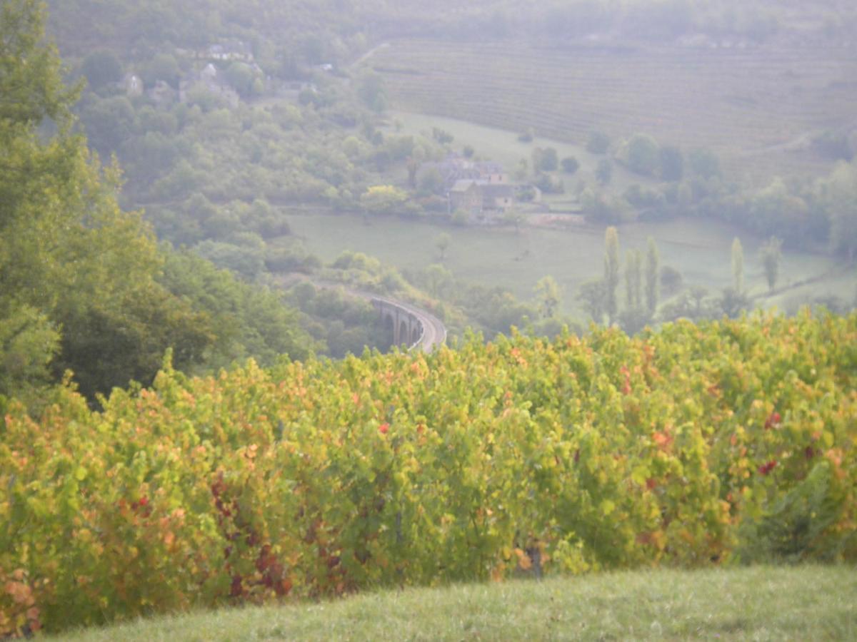 Maison Isolee Dans Les Vignes Et Les Bois Valady Buitenkant foto