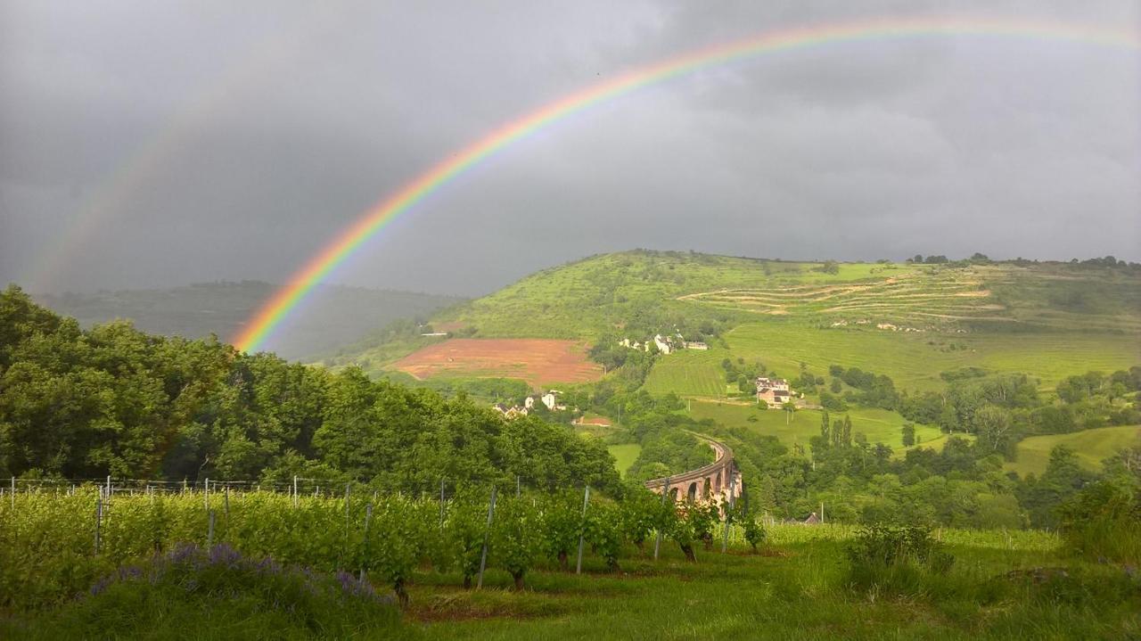 Maison Isolee Dans Les Vignes Et Les Bois Valady Buitenkant foto